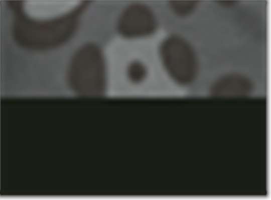 Swatch for Black Leopard/ Black