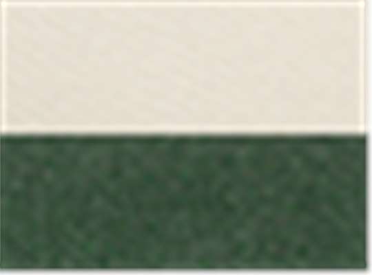 Swatch for Stone/ Dark Green