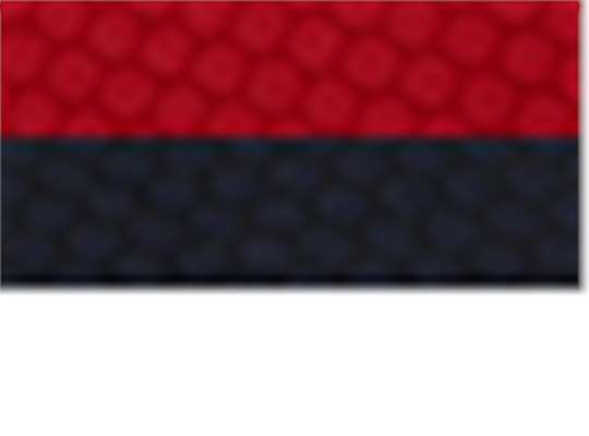 Swatch for Red/ Black/ White