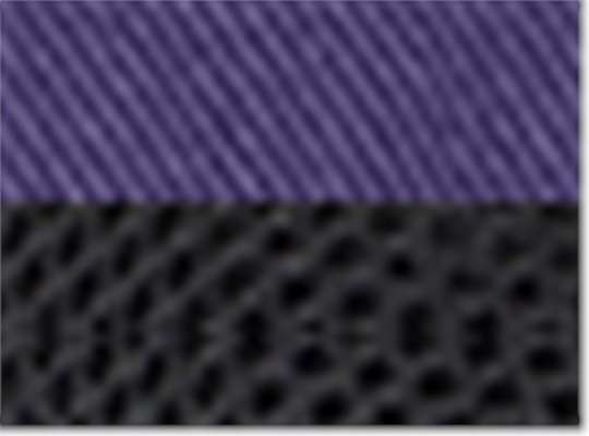 Swatch for Purple/ Black