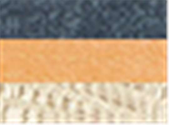 Swatch for Navy/ Tangerine/ Tan