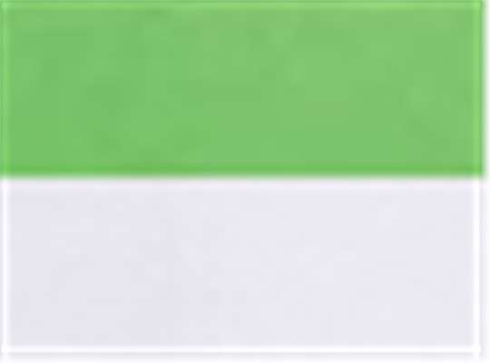 Swatch for Neon Green/ White