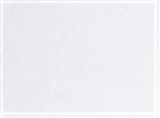 Swatch for White/ White