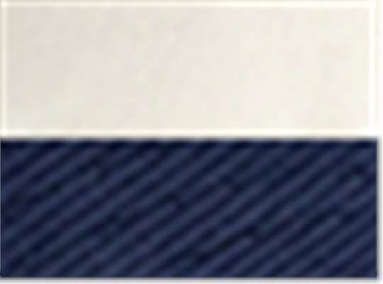 Swatch for Cream/ Navy
