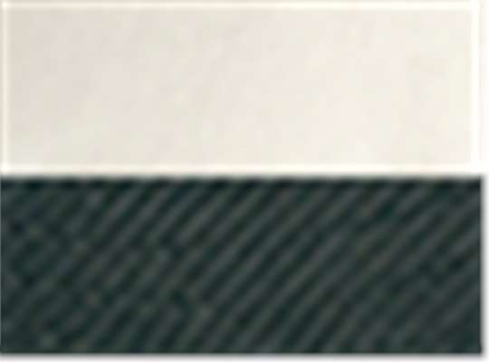 Swatch for Cream/ Olive
