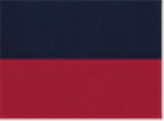 Swatch for Navy/ Scarlet