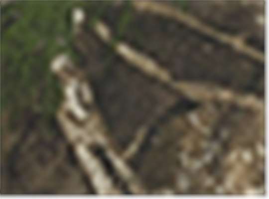 Swatch for Realtree Apx