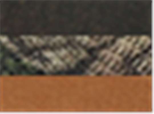 Swatch for Brown/ Realtree Apx
