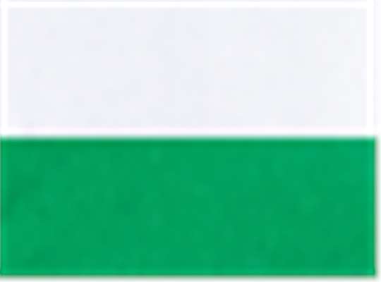 Swatch for White/ Kelly Green
