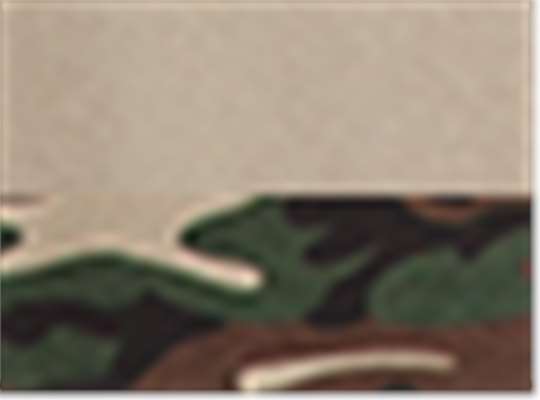 Swatch for Olive/ Camo Green