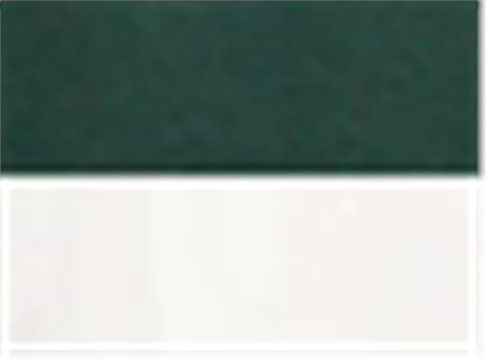 Swatch for Hunter Green/ White