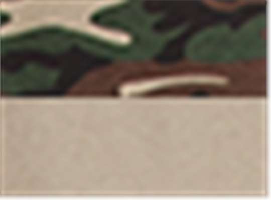 Swatch for Camo Green/ Olive