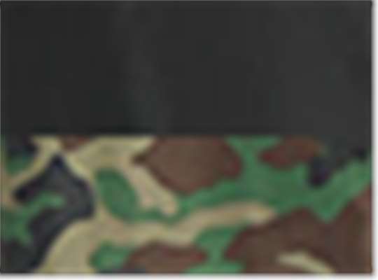 Swatch for Black/ Camo Green