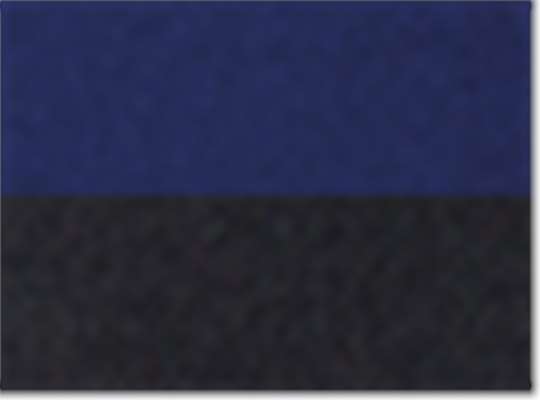 Swatch for Navy/ Black