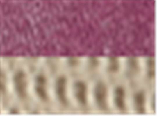 Swatch for Burgundy/ Tan