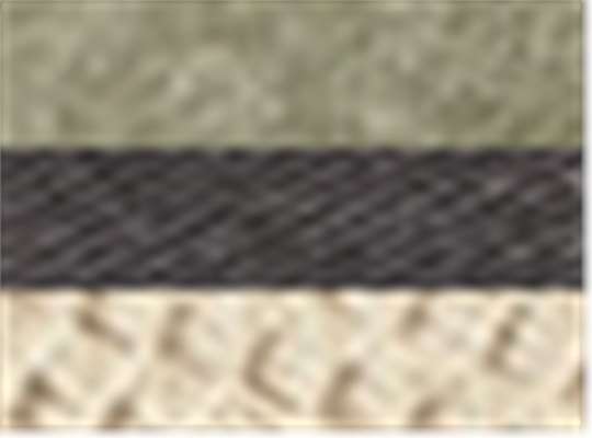 Swatch for Cactus/ Black/ Tan