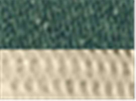 Swatch for Forest/ Tan