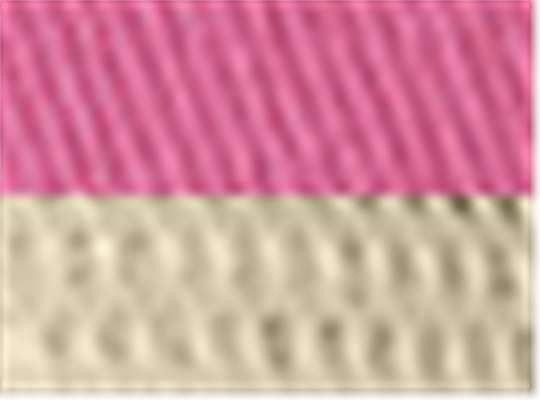 Swatch for Neon Pink/ Tan