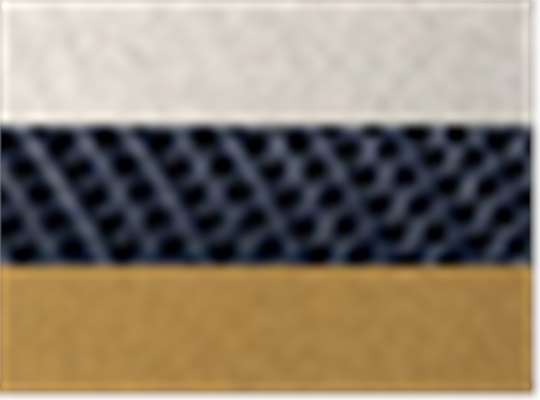 Swatch for Cream/ Navy/ Amber Gold