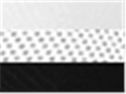 Swatch for White/ Black Cmb