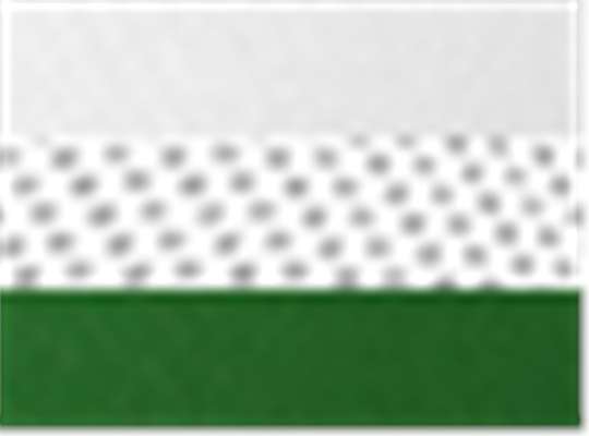 Swatch for White/ Kelly Green Cmb