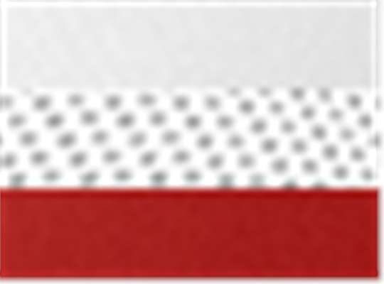 Swatch for White/ Red Cmb