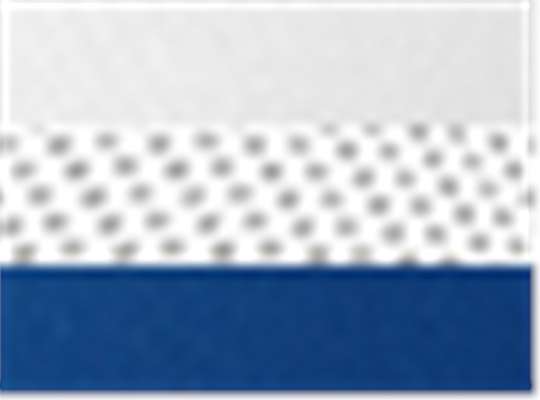 Swatch for White/ Royal Cmb