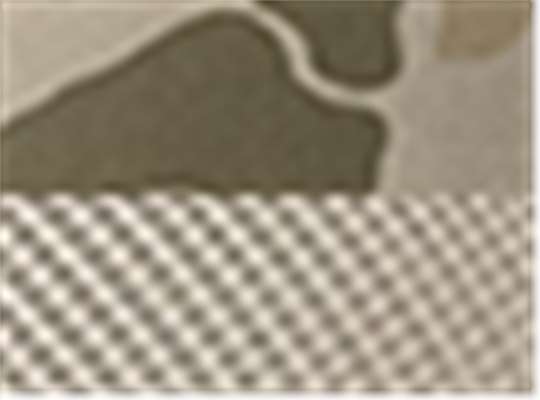 Swatch for Harvest Duck Camo/ Light Tan