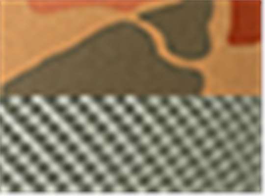 Swatch for Sienna Duck Camo/ Loden Green