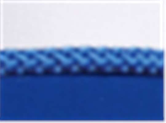 Swatch for White/ Royal-Royal