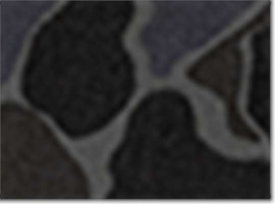 Swatch for Black Duck Camo