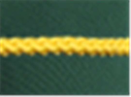Swatch for Forest Green/ Gold