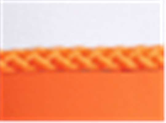 Swatch for White/ Orange-Orange
