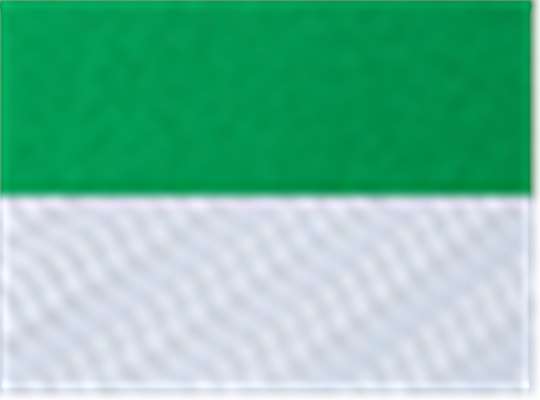 Swatch for Kelly Green/ White