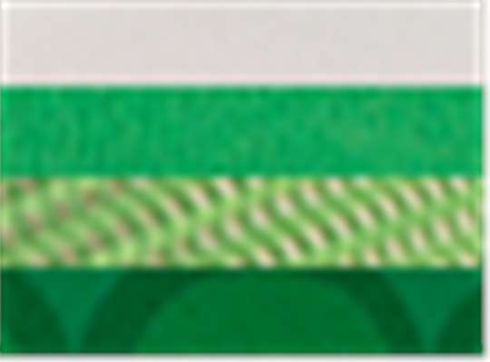 Swatch for White/ Kelly Green/ Bubbles