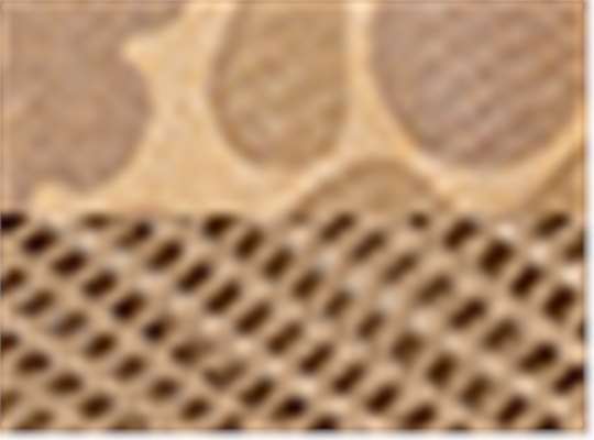 Swatch for Camel Duck Camo/ Java
