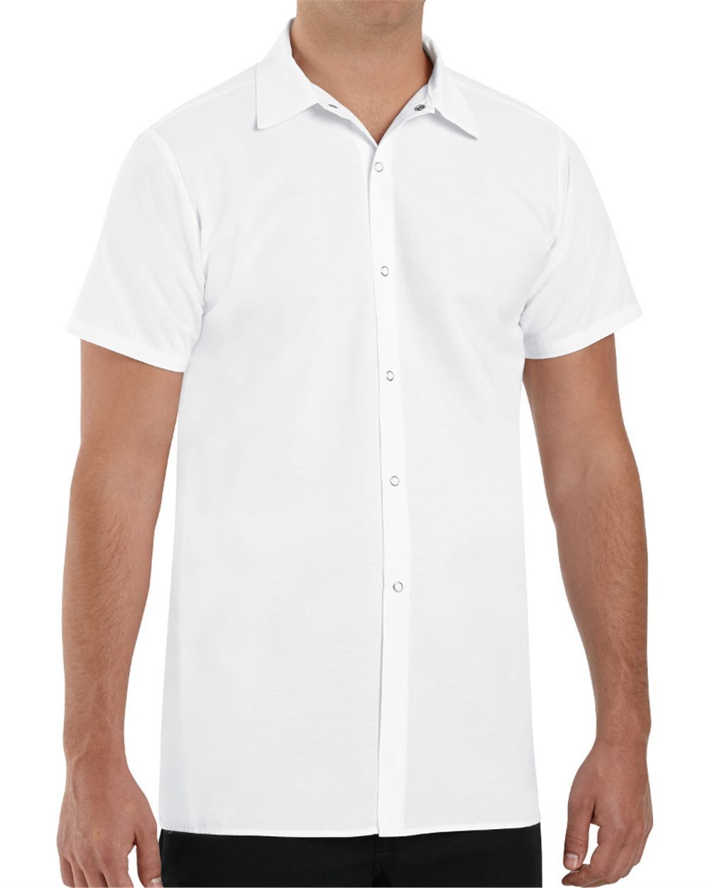 5050L Chef Designs
