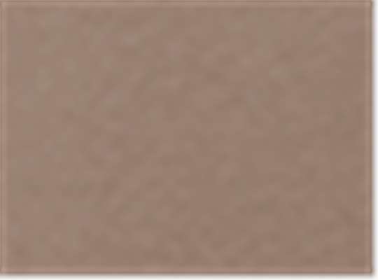Swatch for Brown Savana