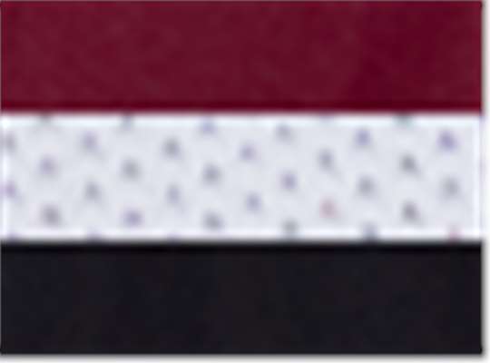 Swatch for Maroon/ White/ Black