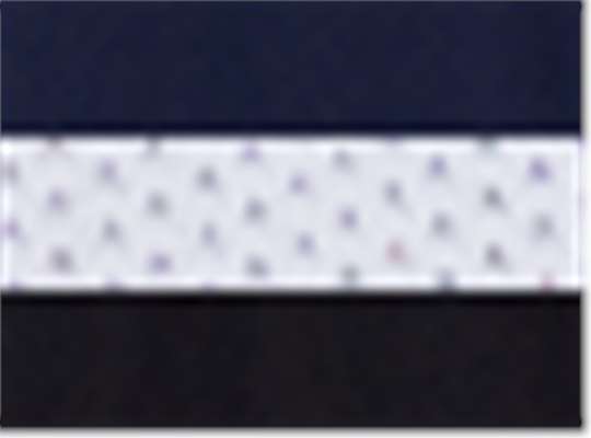 Swatch for Navy/ White/ Black