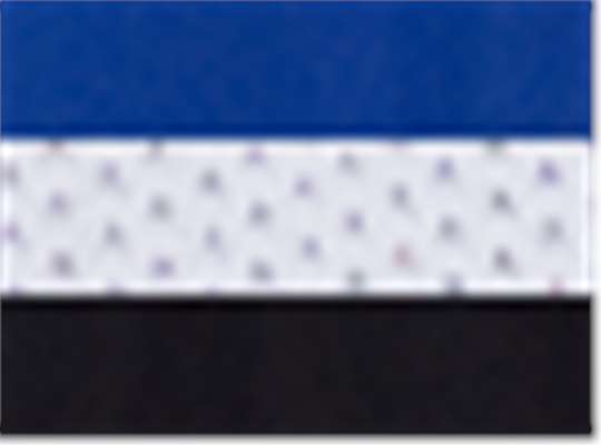 Swatch for Royal/ White/ Black