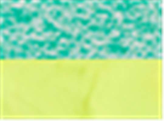 Swatch for Emerald/ Neon Yellow