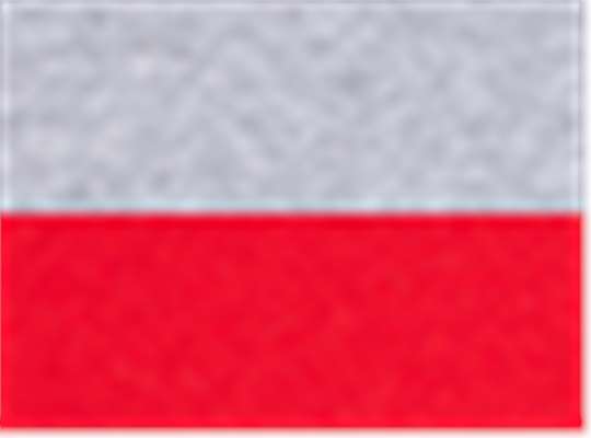 Swatch for Sport Grey/ Red