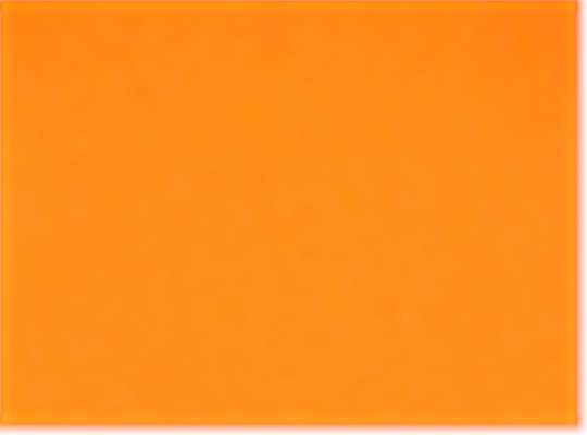 Swatch for Neon Orange