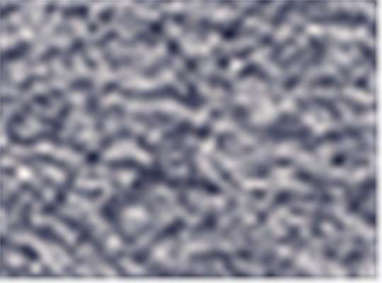 Swatch for Navy Fleck