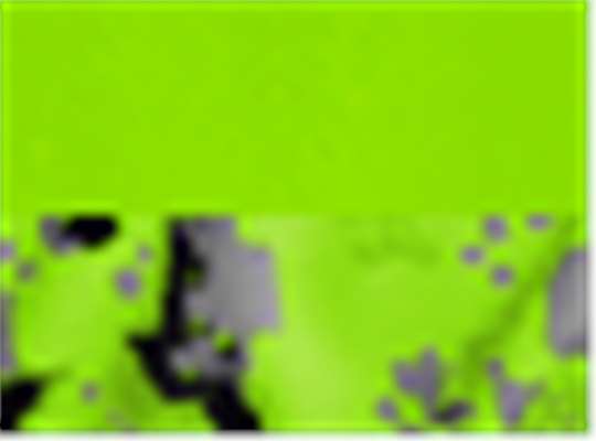 Swatch for Lime/ Lime Digital