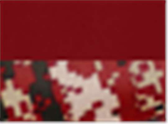Swatch for Cardinal/ Cardinal Digital