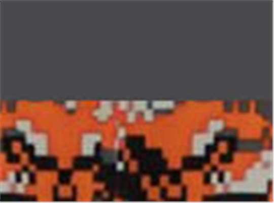 Swatch for Graphite/ Burnt Orange