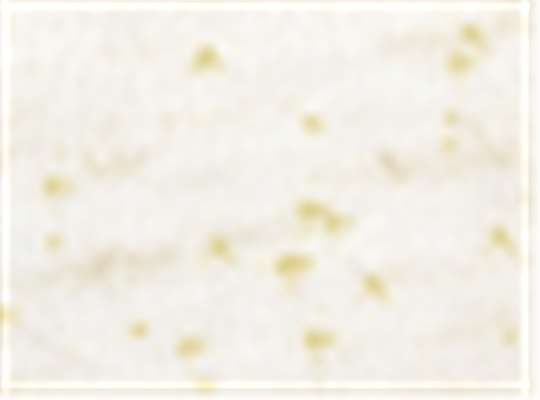 Swatch for Pearl/ Gold