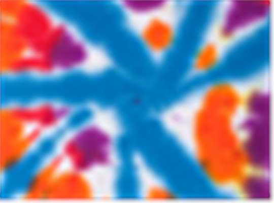 Swatch for Champ
